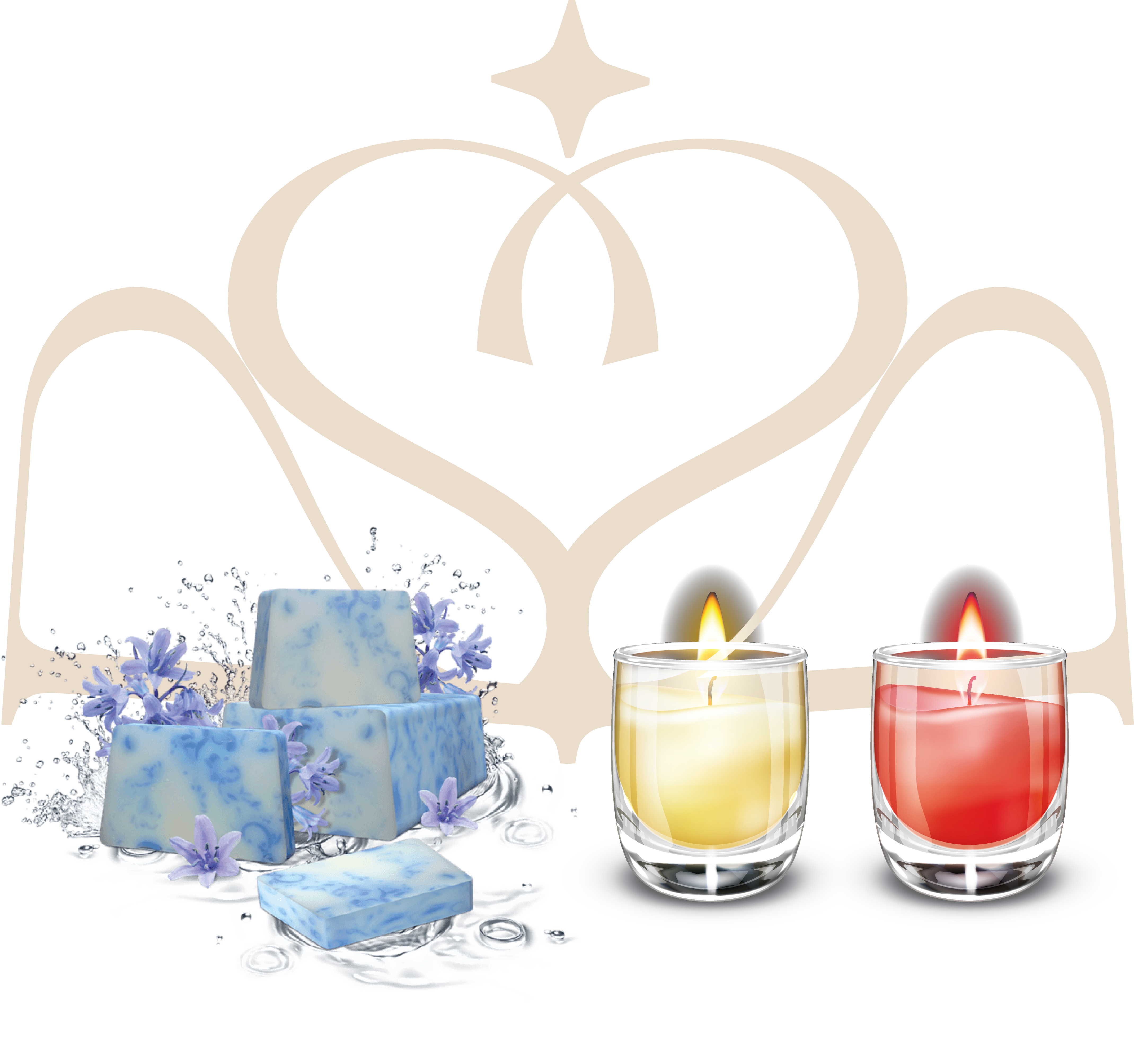 Logo Mision